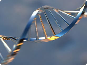 尊龙凯时人生就是博(中国区)官方网站