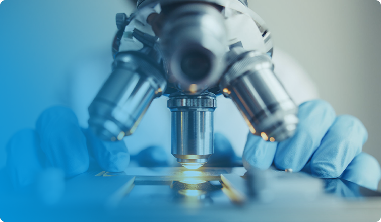 尊龙凯时人生就是博(中国区)官方网站