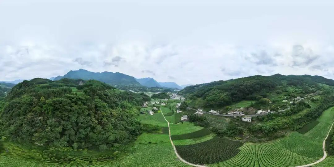 尊龙凯时人生就是博(中国区)官方网站